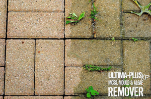 Ultima-Plus biodegradable paving cleaner for removing moss and algae of paving slabs and block paving